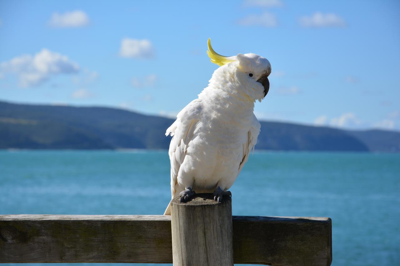 AUS 2013 - Great Ocean Road