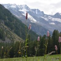 Parco naturale Gran Paradiso