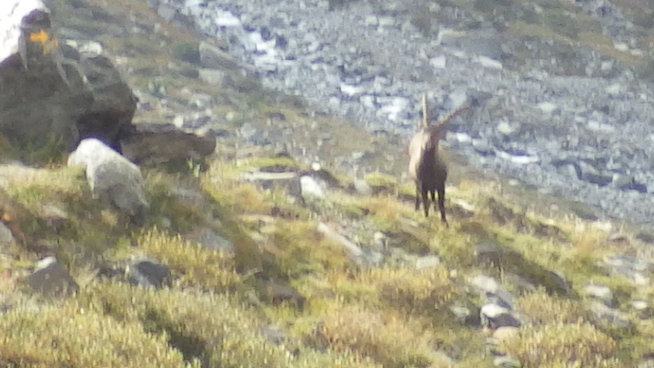 Parco naturale Gran Paradiso