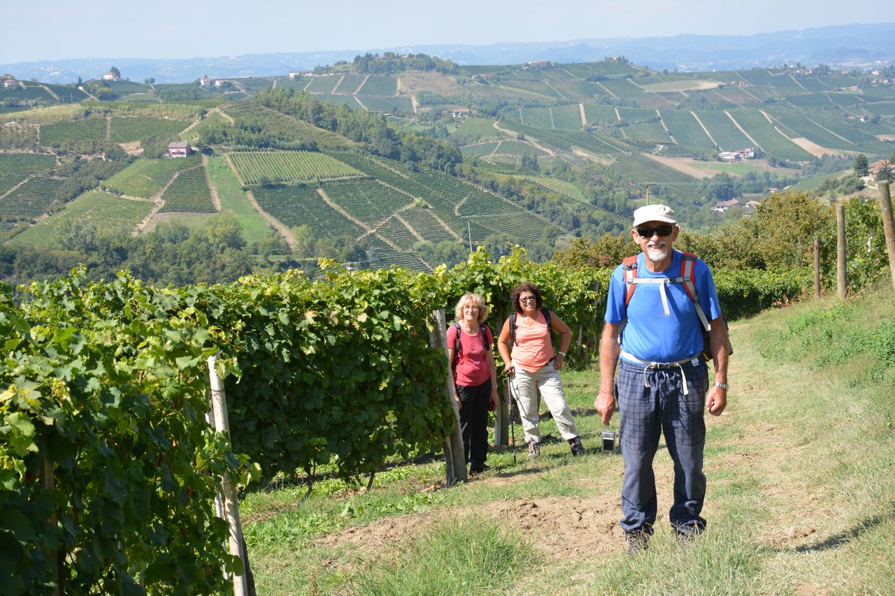 Dans les vignes à Treiso