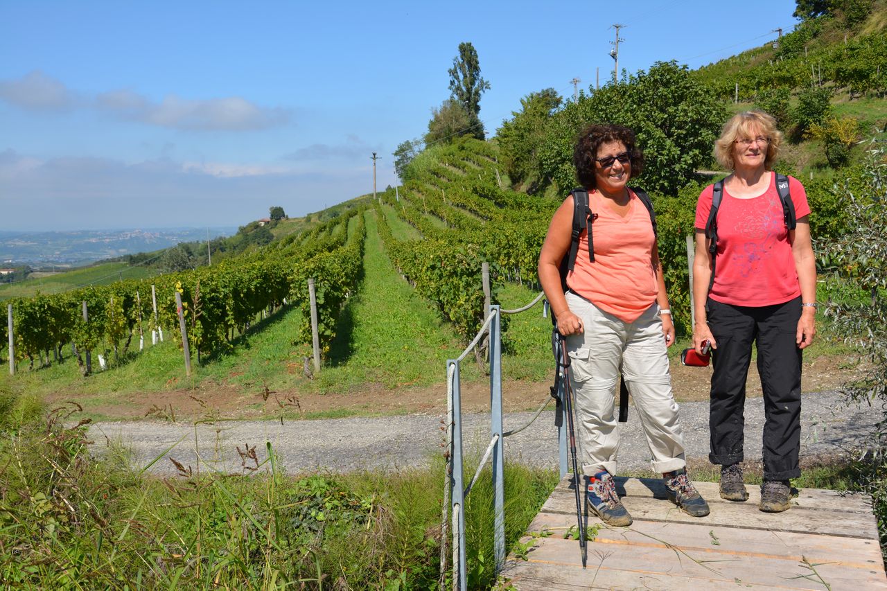 Dans les vignes à Treiso