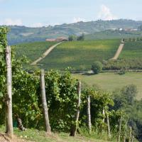 Dans les vignes à Treiso