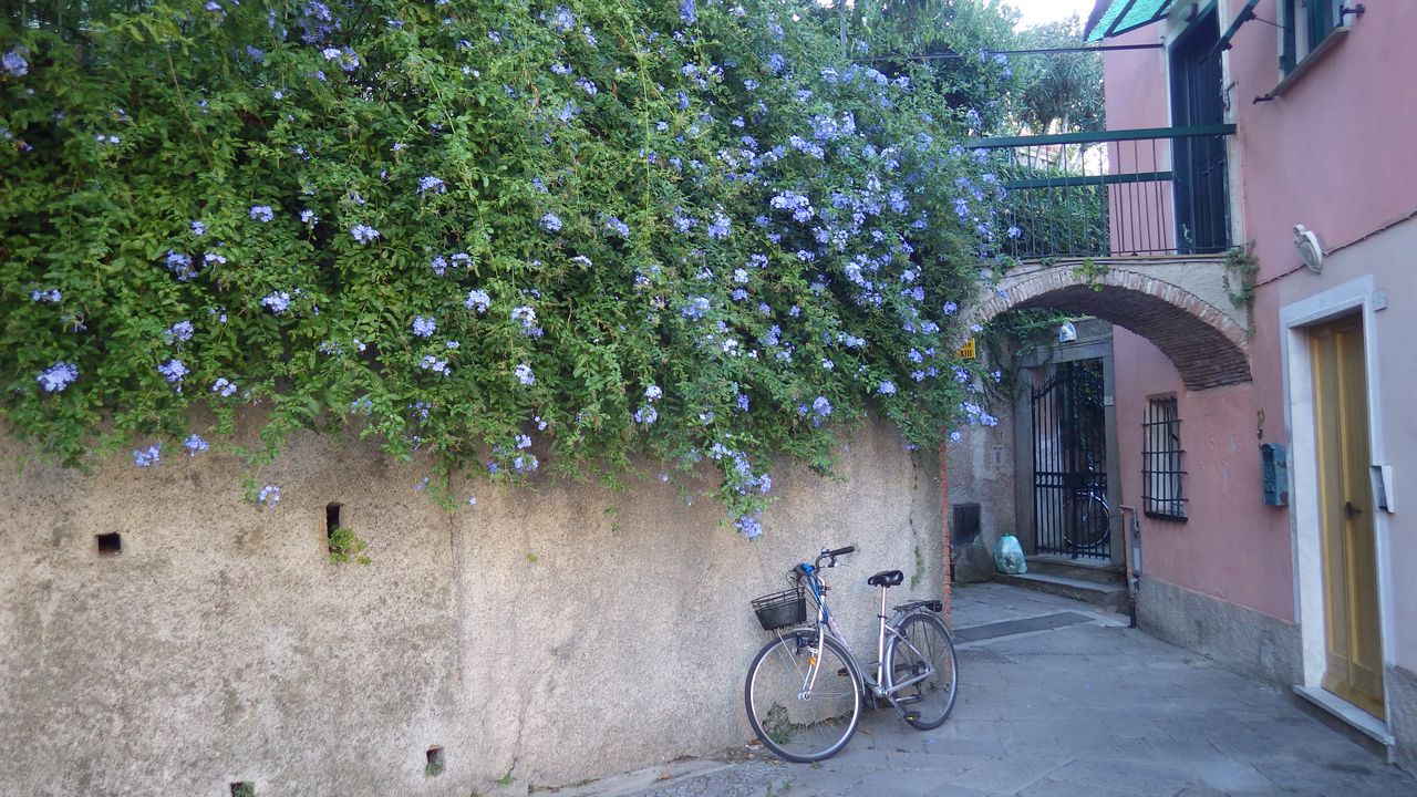 Cinque Terre