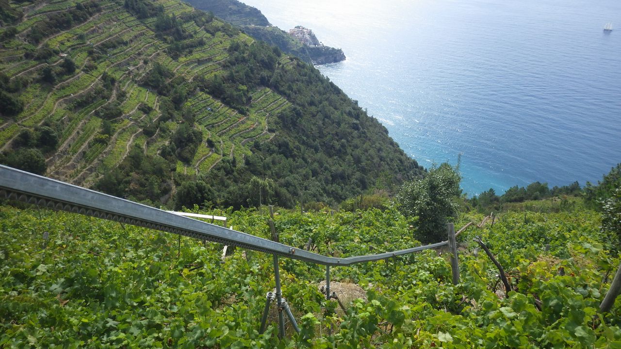 Cinque Terre