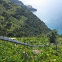 Cinque Terre