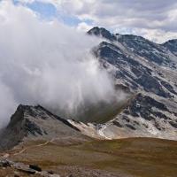 nebbia5784.jpg